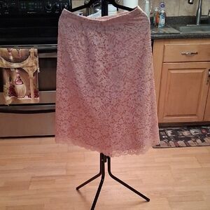 Zara Blush Pink Lace A-Line Skirt